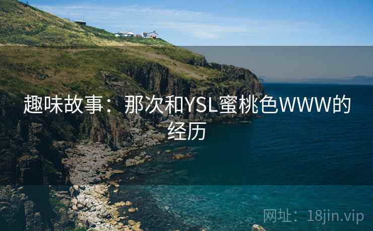 趣味故事：那次和YSL蜜桃色WWW的经历