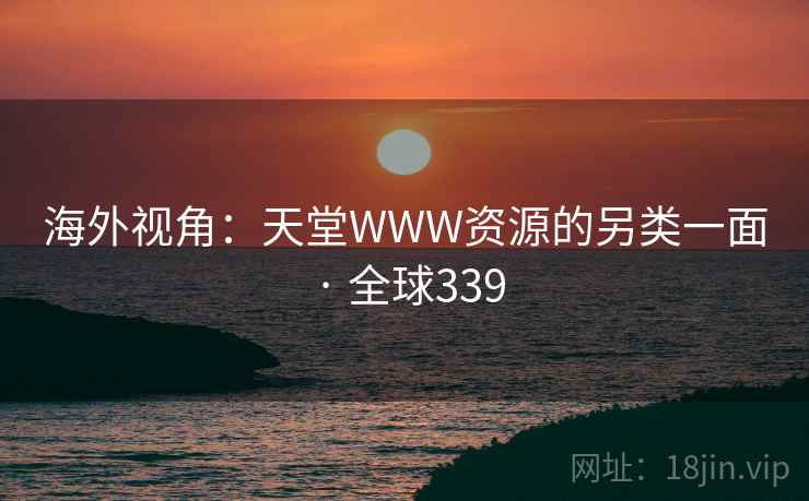 海外视角：天堂WWW资源的另类一面 · 全球339