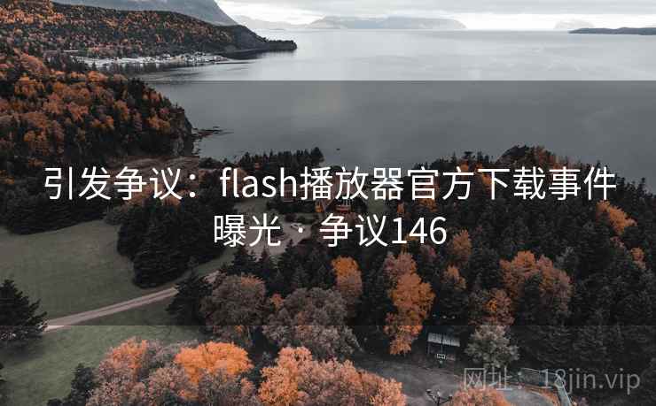 引发争议：flash播放器官方下载事件曝光 · 争议146